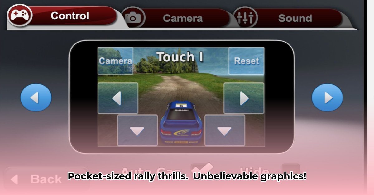 pocket-rally-game